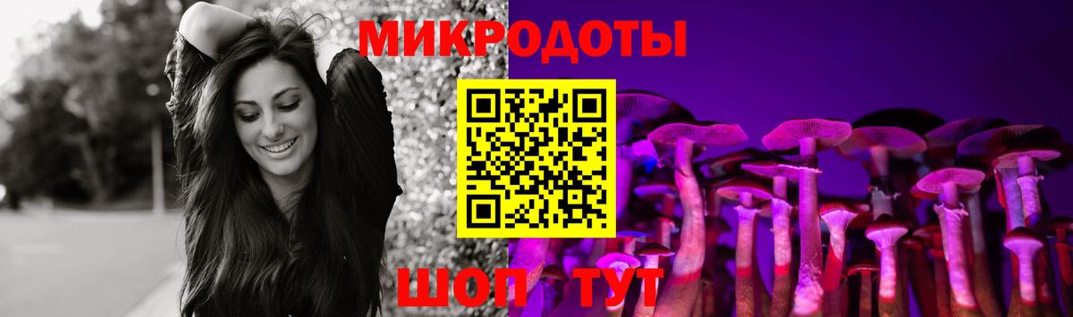 Нягань  Псилоцибиновые грибы Cubensis  Вход с VPN  Псилоцибиновые грибы Psilocybine cubensis 